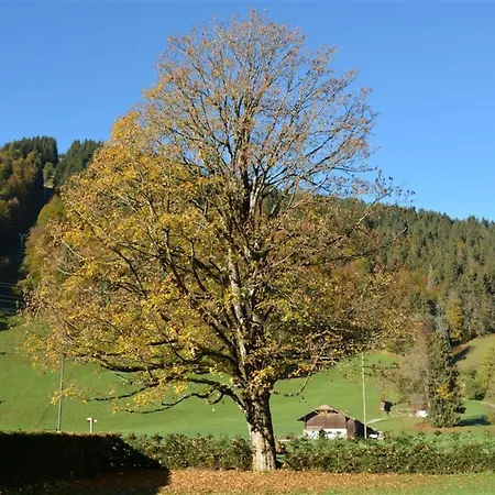 Oberland Nr- 19 By Interhome Appartamento