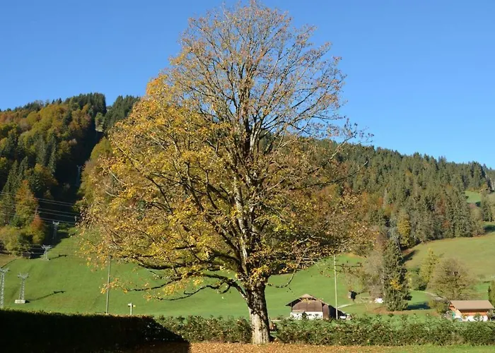 Oberland Nr- 19 By Interhome דירה